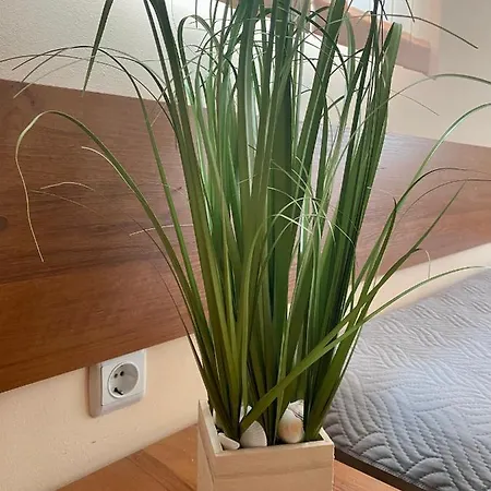 דירה Sea Dreams Apartament Sveti Vlas *